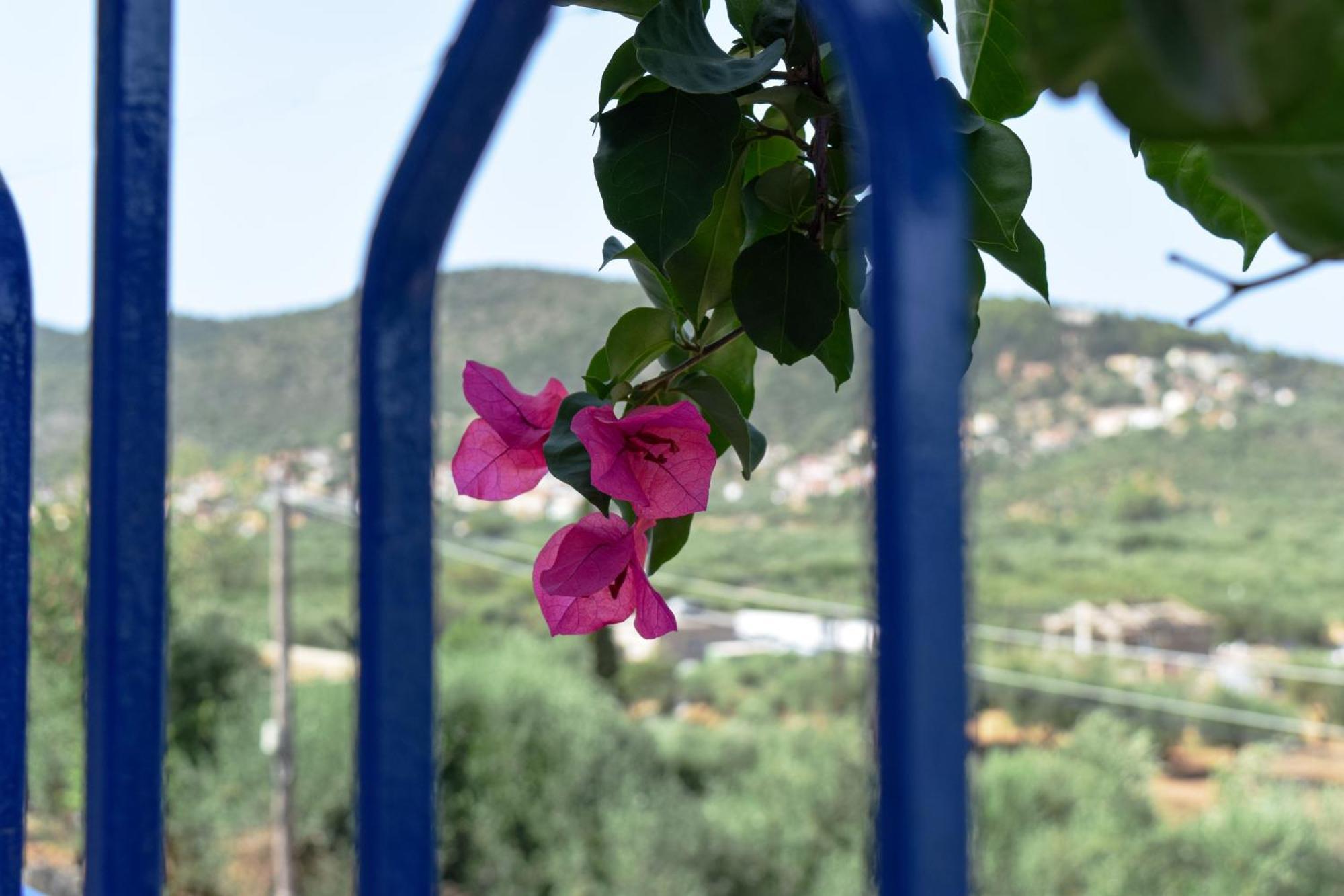 Val Di Compare Apartments Вати Екстериор снимка